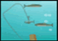 Shoot Fish Flash Game